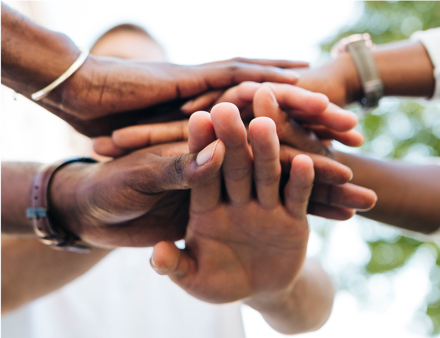 Partnerships and Alliances